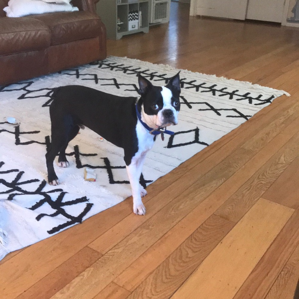 Meet your Posher, Katie